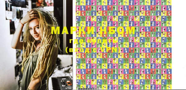 СК Зерноград